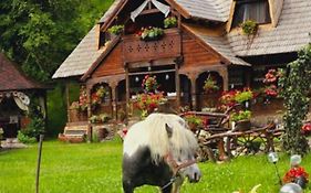 Pensiunea Rustic Oncesti