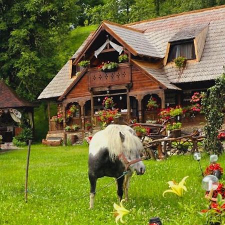 Pensiunea Rustic Oncesti Exterior foto