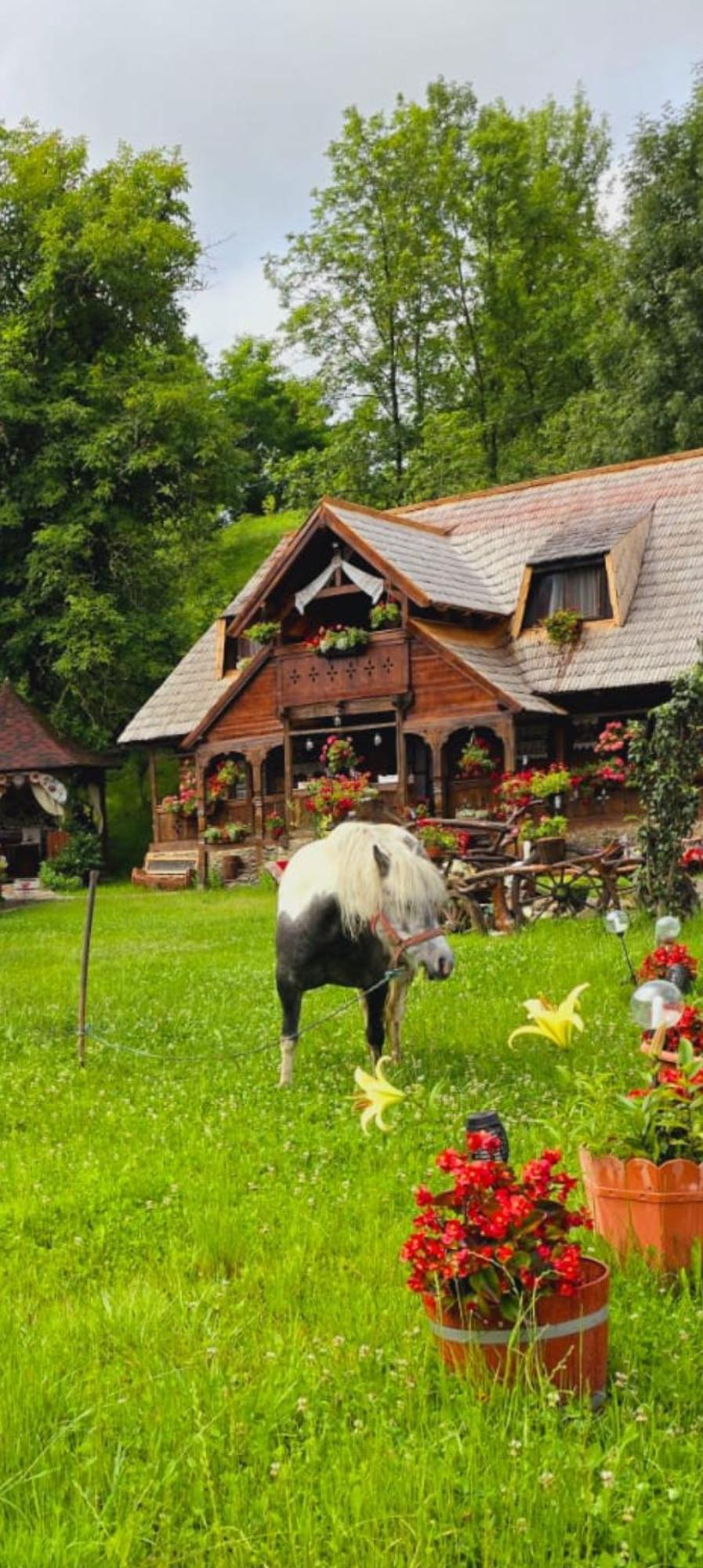 Pensiunea Rustic Oncesti Exterior foto